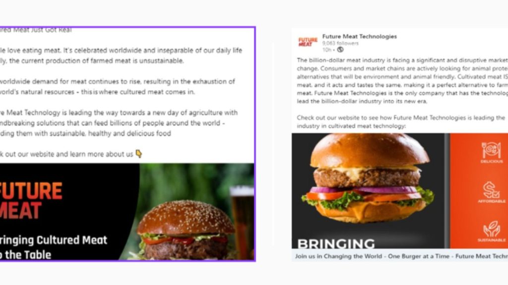 סיפור הצלחה - Believer Meats